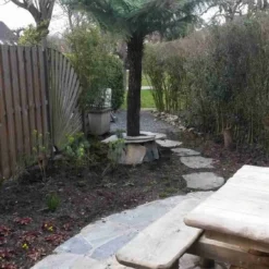 Grote Boomvaren (Dicksonia Antarctica) 24 Grote Boomvaren (Dicksonia Antarctica) -Aanbiedingen Tuin Ziel Winkel dicksonia antartica 1