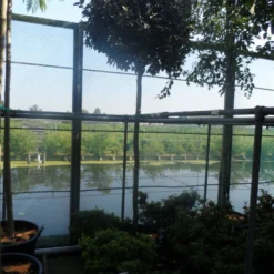 Olijfwilg Als Boom (Elaeagnus Ebbingei) -Aanbiedingen Tuin Ziel Winkel elaeagnus ebbingei 12 14ho cont